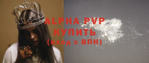 стаф Ростов