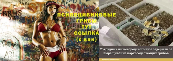 кокс Абинск