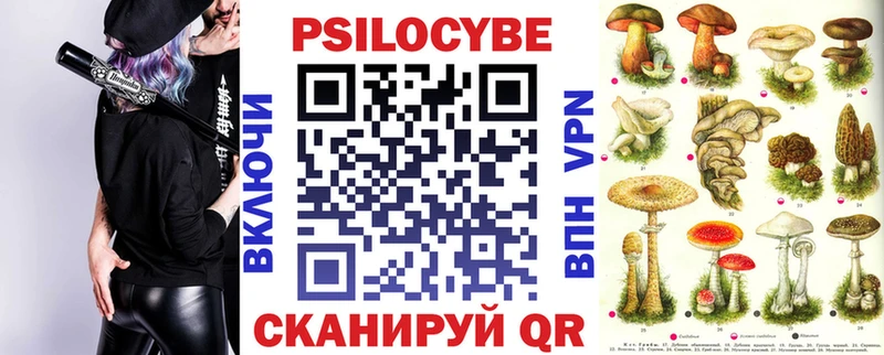 ОМГ ОМГ зеркало  Инза  Псилоцибиновые грибы мухоморы  цены  